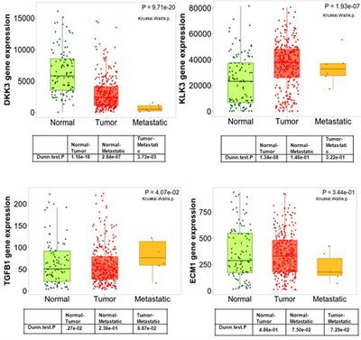 The prognostic value of Dickkopf-3 (Dkk3), TGFB1 and ECM-1 in prostate cancer